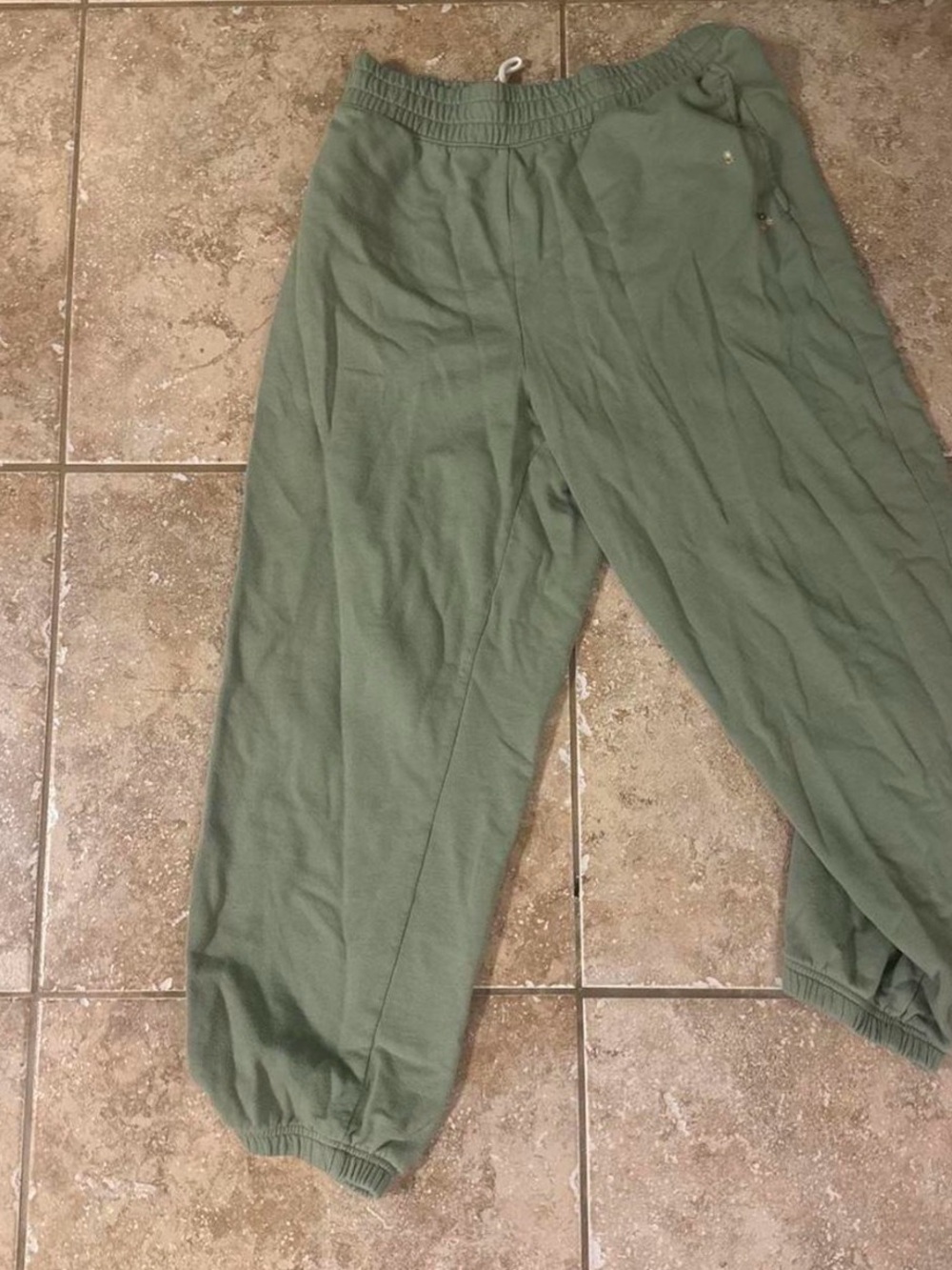 American Eagle Outfitters Olive Green Floral Embroidered Jogger Sweatpants